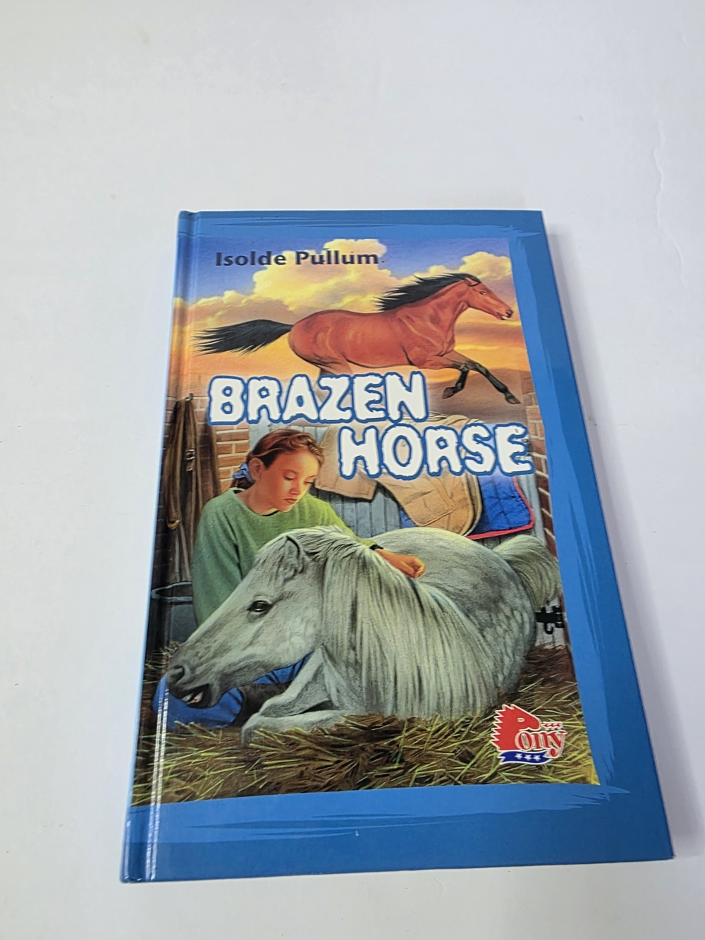 Source Unknown Blue "Brazen Horse" Kids Book